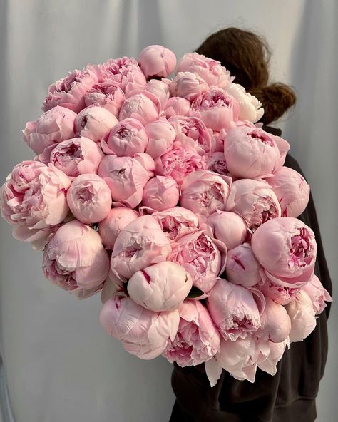 Peonies Aesthetic, Flower Boquet, Botanical Photography, Dream Wedding Decorations, Flower Bucket, Nothing But Flowers, Flower Therapy, Peonies Bouquet, Beautiful Bouquet Of Flowers