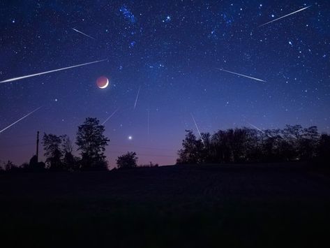 Leonid Meteor Shower Peaks This Weekend: When To See Fireballs In MN Full Pink Moon, Leonid Meteor Shower, Perseid Meteor Shower, Atlanta Art, Atlanta Restaurants, Spooky Places, National Weather Service, Total Solar Eclipse, Meteor Shower