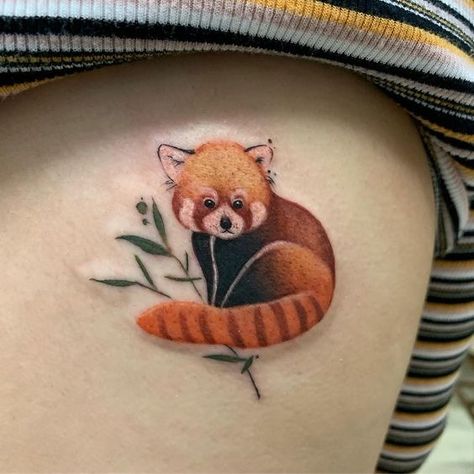 Red Panda Tattoo: Tattoos have been a form of self-expression for centuries, with each design carrying its own unique symbolism and meaning.. Small Red Panda Tattoo, Red Panda Tattoo Design, Red Panda Tattoo, Valentines Drawings, Red Panda Cartoon, Airplane Tattoos, Panda Tattoo, Red Pandas, Panda Art