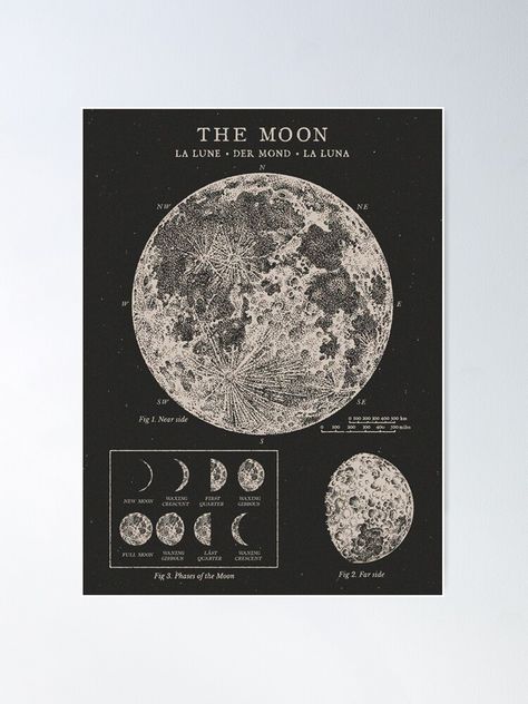 "Moon Phases Vintage Poster" Poster by backtoblackttt | Redbubble Moon Phases Art, Bedroom Stuff, Astronomy Art, Dorm Inspo, Vintage Moon, Moon Poster, Christmas Feeling, Diy Frames, Unframed Wall Art