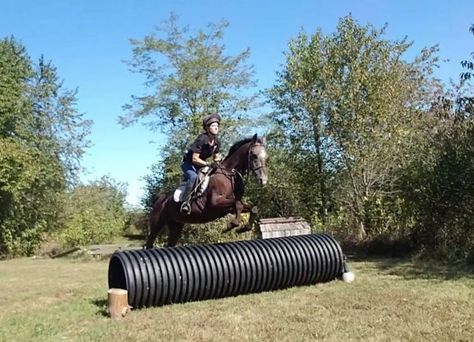 Diy Cross Country Jumps, Xc Jumps, Eventing Cross Country, Cross Country Jumps, Horse Jumps, Country Fences, Diy Horse, Horse Exercises, Equestrian Helmets