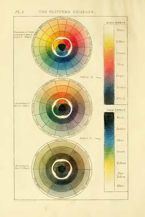 Color Theory Poster Aesthetic, Color Theory Examples, Color Theory Poster, Color Theory Art, Butterfly Illustration, Color Scale, Color Harmony, Color Studies, Interior Design Art