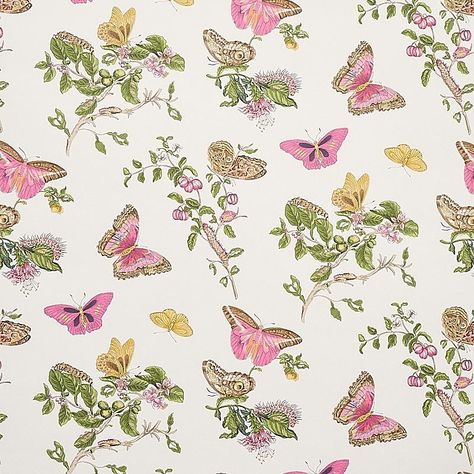 Baudin Butterfly - Blush Wallpapers | Schumacher Maria Sibylla Merian, Wallcovering Pattern, Pink Wallpapers, Blush Wallpaper, Ocean Park, Black And White Decor, Girls Bathroom, The Wallpaper, Bathroom Wallpaper