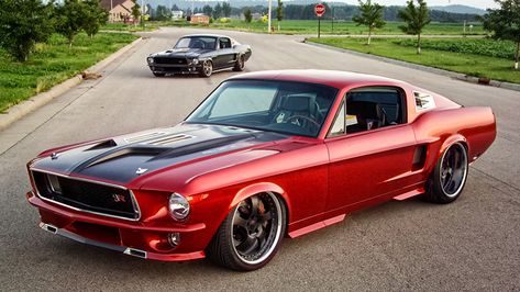 Mustang Tuning, E90 Bmw, Shelby Gt 500, Ford Mustang Car, Classic Mustang, Mustang Fastback, Pro Touring, Mustang Cars, Mustang Shelby