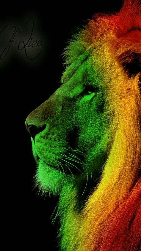 Rastafarian Wallpapers, Rasta Wallpaper, Reggae Background, Reggae Wallpapers, Rastafari Art, Rasta Art, Reggae Art, Bob Marley Pictures, Bob Marley Art