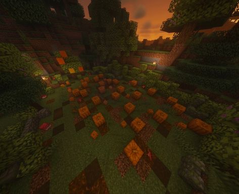 Minecraft Pumpkin Farm Ideas, Minecraft Pumpkin Patch Ideas, Minecraft Melon And Pumpkin Farm, Minecraft Creeper Pumpkin, Cute Minecraft Pumpkin Patch, Pumpkin Patch Minecraft, Minecraft Pumpkin Patch, Minecraft Halloween Ideas, Minecraft Pumpkin