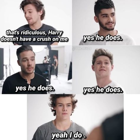 One Direction Collage, Disco Hair, One Direction Fandom, One Direction Lockscreen, One Direction Jokes, Harry Styles Quotes, Harry 1d, One Direction Photos, Memes Hilarious