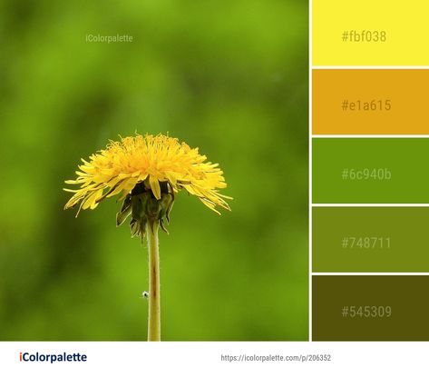 Dandelion Color Palette, Grass Green Color Palette, Grass Images, Dandelion Color, 2021 Aesthetic, Color Palette Ideas, Color Combinations For Clothes, Palette Ideas, Flowers Color