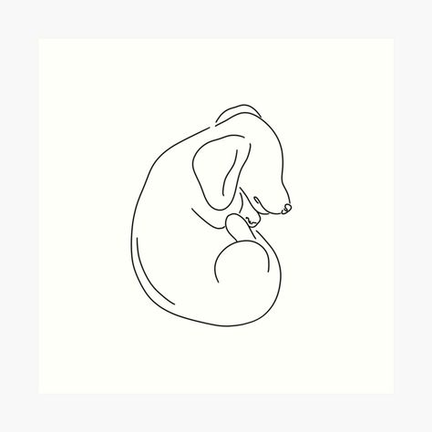 Line Art Daschund, Sleeping Dachshund Tattoo, Mini Dachshund Tattoo, Fine Line Dachshund Tattoo, Sausage Dog Tattoo Outline, Dachshund Outline Tattoo, Dachshund Line Art, Daschund Tattoo Minimalist, Sleeping Dog Tattoo