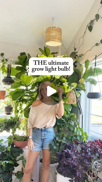 Samantha Hermann on Instagram: "Comment ‘LIGHT’ for the link & a special discount code just for house + plant friends! ✨  GAME CHANGER 🙌🏻   Footcandles readings brightest setting to lowest setting: ~1800 ~1200 ~800 ~400  This would work so well for a large variety of plants!" House Plant Grow Light Setup, Plant Light Ideas, Plant Lights Indoor Setup Living Room, Indoor Plant Lighting Ideas, Grow Light Set Up, Plant Lights Indoor Setup, Grow Light Ideas, Plant Friends, Plant Lights