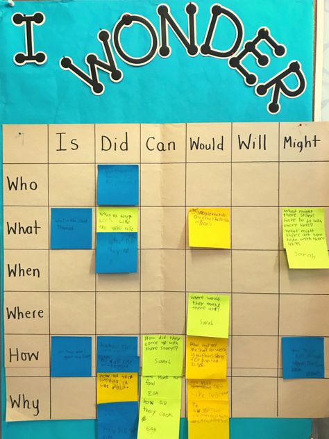 Community Of Inquiry Activities, Place Based Learning, Learning Walls In School, Pyp Bulletin Board Ideas, Pyp Classroom Setup, Instructional Materials Ideas, Learning Goals Display, Inquiry Classroom, Inquiry Based Learning Kindergarten