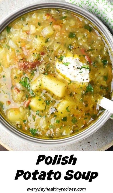 Potato Knephla Soup, Polish Potato Soup Recipes, Creamy Potato Cabbage Soup, Braised Potatoes Russian, Hungarian Potato Soup, Potato Meatball Soup, Beet Potato Soup, Broth Based Potato Soup, Polish Stew Recipes