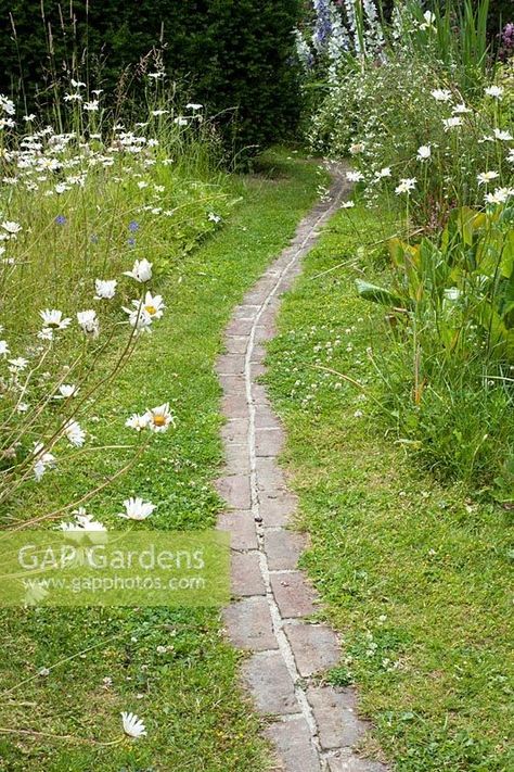 Grass Path, Lawn Path, Grass Driveway, Brick Path, Wild Garden, Landscape Elements, Grasses Garden, Garden Images, Plant Photography