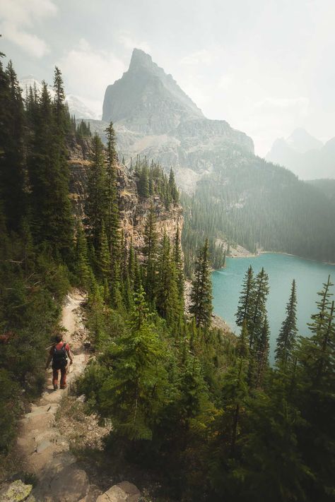 Top 12 Most Beautiful National and Provincial Parks In Western Canada (That Aren't Banff) 5 Canadian National Parks, Banff Trip, Pacific Rim National Park, Kootenay National Park, Sea To Sky Highway, Alaska Highway, Canada National Parks, Canada Travel Guide, Canadian Travel