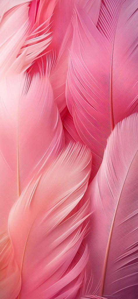 Cressida Cowper, Feather Background, Phone Widgets, Feather Wallpaper, Pink Wallpapers, Fruits Images, Pink Color Schemes, Abstract Wallpaper Backgrounds, Phone Stuff