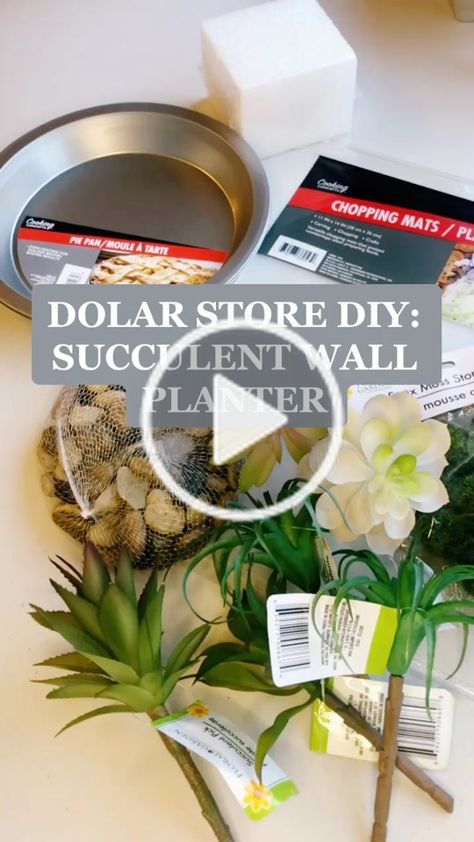 Diy Fake Succulent Wall Planter, Boho Wall Planter, Succulent Diy Ideas Crafts, Diy Faux Succulent Planter, Outdoor Wall Planter Ideas Diy, Diy Succulent Wall Decor, Succulent Wall Planter Diy, Diy Succulent Decor, Boho Succulents Decor