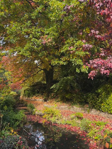 Autumn at uni Southampton University, Psych Student, Uni Aesthetic, Film Studies, Sunderland, Southampton, Psych, University, Collage