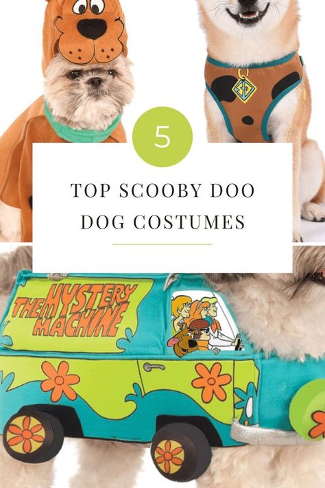 Unleash the inner detective in your pooch with our 'Top 5 Scooby Doo Dog Costumes'. Perfect for adventurous pups who fancy a snack-laden mystery, or just want to howl 'Ruh-Roh! Scooby Doo Dog Costume, Scooby Doo Costumes, Mystery Inc, Scooby Doo Dog, Dog Costumes, Dog Costume, Scooby Doo, Detective, Dogs