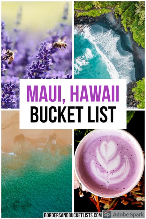 Maui Bucket List, Maui With Kids, Hawaii Bucket List, Haleakala Sunrise, Hawaii Trip Planning, Hawaii Itinerary, Maui Hawaii Vacation, Hawaii Things To Do, Lahaina Maui