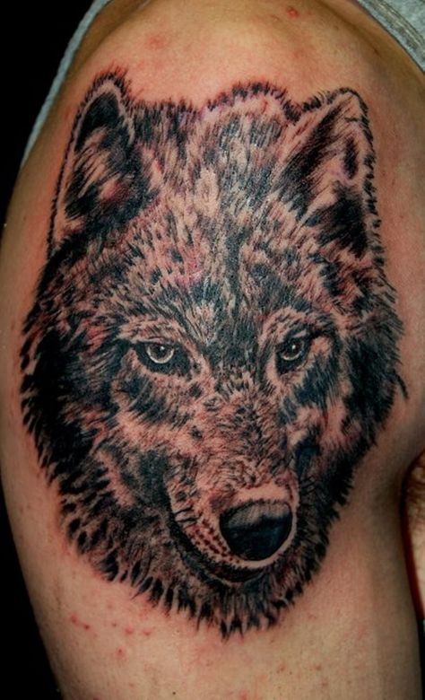 20 Gray Wolf Tattoo Gray Wolf Tattoo, Wolf Paw Tattoo, Grey Wolf Tattoo, Wolf Paw Tattoos, Wolf Tattoos Men, Native American Tattoos, Wolf Paw, Paw Tattoo, Gray Wolf