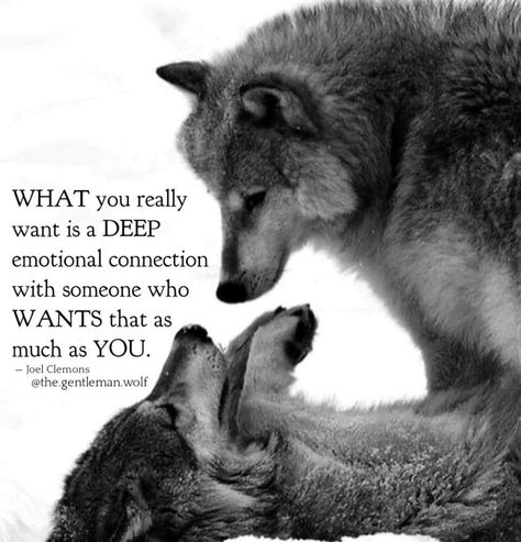 Deep Love Quotes For Him Soul Mates, Wolf Pack Quotes, Wolf Mates, Inspirational Animal Quotes, Lone Wolf Quotes, Dog Quotes Love, Meaningful Love Quotes, Wolf Quotes, Wolf Spirit Animal