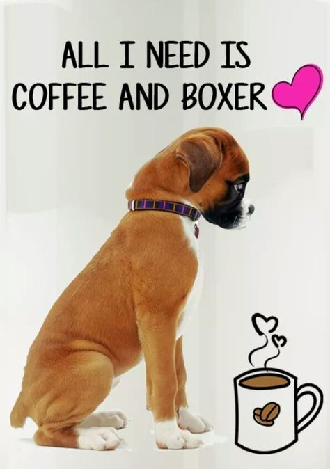 Boxer Dogs Quotes, Boxer Dog Quotes, Boxers Dogs, Dogs Quotes, Boxer Dogs, Dog Quotes, I Smile, How I Feel, Make Me Smile