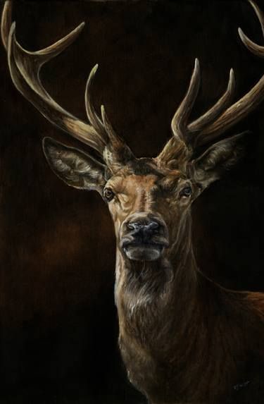 Red-Deer-Stag Paintings For Sale | Saatchi Art Livestock Dog, Deer Paintings, British Farm, Equestrian Farm, Red Deer Stag, Farm Animal Painting, Purple Painting, Deer Photos, Deer Painting