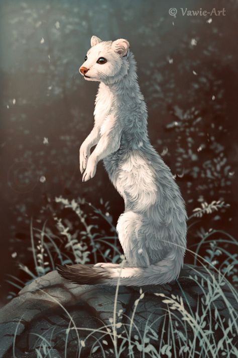 Dnd Ferret, Weasel Art, Ferret Art, Animal Tarot, Merry Christmas And Happy Holidays, Cute Ferrets, Wolf Pup, His Dark Materials, Creature Artwork