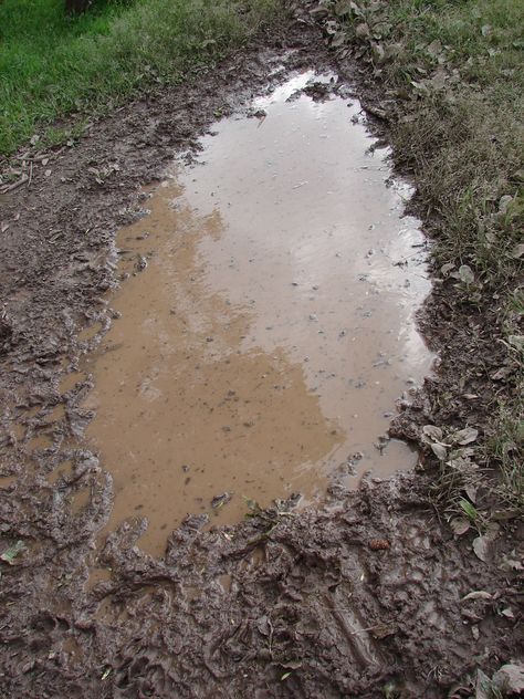 messeges in puddles | Muddy Water Puddle 1 by FantasyStock interesting puddle Muddy Puddle Photoshoot, Muddy Water Aesthetic, Puddle Of Mudd Album Cover, Reflection In Puddle, Muddy Puddle, Water Puddle, Mud Puddle, Environment Projects, Miniature Diorama