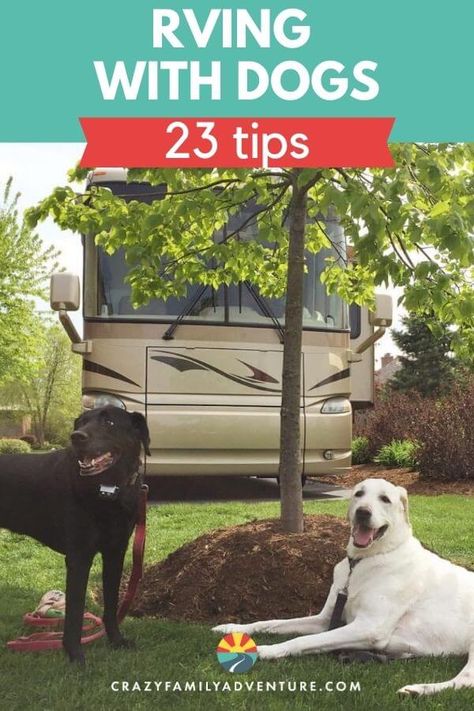 Rv Dog, Rv Pet, Animal Tips, Road Trip With Dog, Dog Transport, Rving Full Time, Living With Dogs, Rv Camping Tips, Camper Hacks