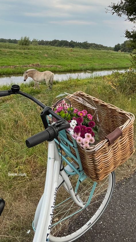 Horses bike ride flowers Green bouquet Pink cycle horse Summer Bike Ride Aesthetic, Riding Bike Aesthetic, Bike Riding Aesthetic, Bike Ride Aesthetic, Bicycle Aesthetic, Summer Bike Ride, Cycle Photo, Bike With Basket, Summer Bike