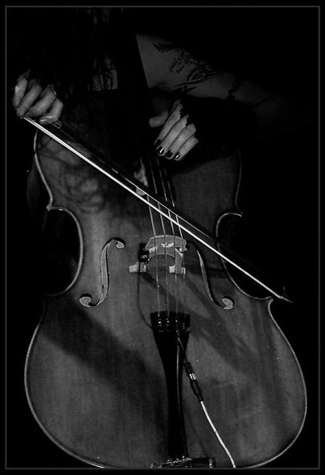 Cello Violin Senior Pictures, Cello Aesthetic, Violin Pics, Cello Art, Learn Violin, Cello Music, Violin Lessons, Music Images, Black And White Aesthetic