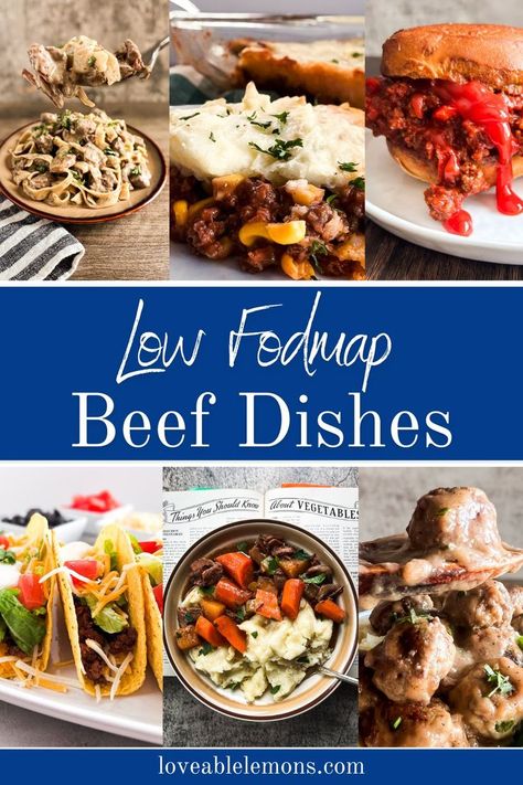 six photos of low FODMAP beef dishes ranging from pasta, shepherd's pie, sloppy joes, beef tacos, beef stew and swedish meatballs. Meals Using Ground Beef, Fodmap Recipes Dinner, Low Fodmap Recipes Dinner, Fodmap Meal Plan, Slow Cooker Ground Beef, Fodmap Friendly Recipes, Low Fodmap Snacks, Low Fodmap Diet Recipes, Fodmap Diet Recipes