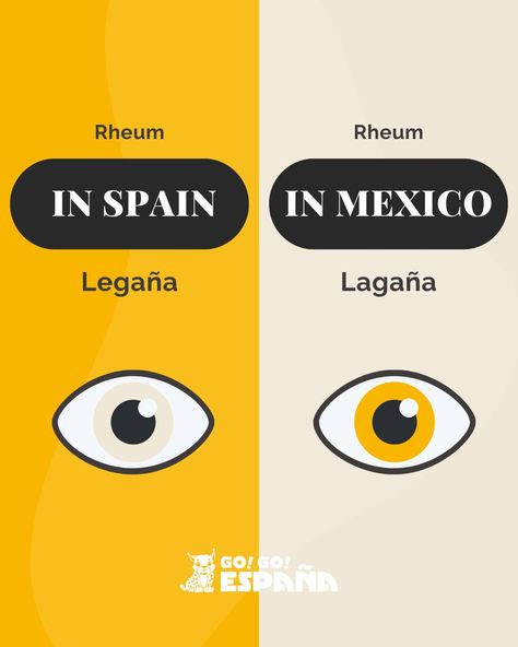 Spain Spanish, America Latina, Spanish Vocabulary, Spanish Language Learning, Culture Food, Spanish Lessons, Spanish Class, Food Snacks, Learning Spanish