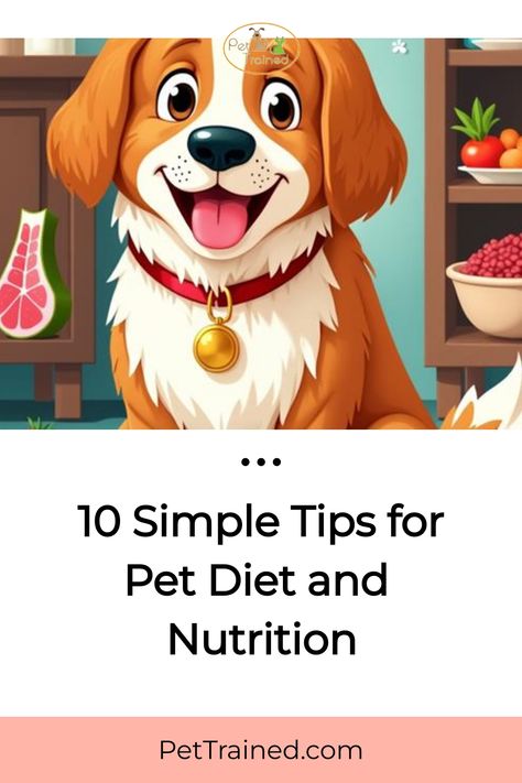 Discover 10 simple tips for improving your pet’s diet and nutrition! From dog diet plans to raw dog food diets, this guide has everything you need to keep your pet healthy. Explore DIY dog food recipes and homemade cat food options to ensure a balanced diet. Visit our site for more dog nutrition advice and expert tips on feeding your pet! Dog Diet Plan, Raw Dog Food Diet, Homemade Cat Food, Raw Dog Food, Diy Dog Food, Grain Free Diet, Dog Health Tips, Homemade Cat, Raw Dog Food Recipes