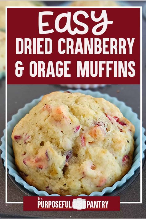 Easy Dried Cranberry and Orange Muffins - The Purposeful Pantry Dried Cranberry Muffins, Cranberry Recipes Easy, Cranberry Recipes Healthy, Cranberry Recipes Dessert, Dried Cranberries Recipes, Cranberry Recipes Muffins, Easy Breakfast Treats, Dried Cranberry, Simple Family Meals