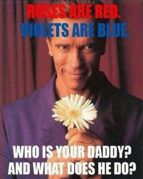 Arnold. Kindergarten cop. Who is your daddy and what does he do? Kindergarten Cop, Buyer Persona, Wife Humor, Happy Birthday Meme, Funny Happy Birthday, The Expendables, Birthday Meme, Funny Picture Quotes, Funny As Hell