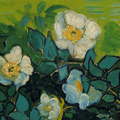 Wild Roses (detail) ~ Vincent van Gogh Van Gogh Flowers, Vincent Willem Van Gogh, Vincent Van Gogh Paintings, Heart Canvas, Van Gogh Museum, Art Van, Van Gogh Paintings, Van Gogh Art, Georges Braque