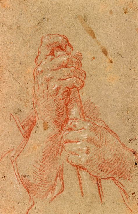 Italian School | 16th century | Study of Hands Holding a Staff | The Morgan Library & Museum Relationship Drawings, Master Drawing, Human Figure Drawing, A Staff, Anatomy Sketches, School Study, Hands Holding, Figure Sketching, The Morgan