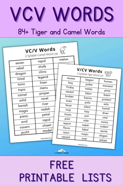 Vc Words List, Cv Words Phonics, V Words For Kids, Dictation Words, Vcv Words, Elementary Classroom Themes, V Words, Cv Words, Reading Strategy