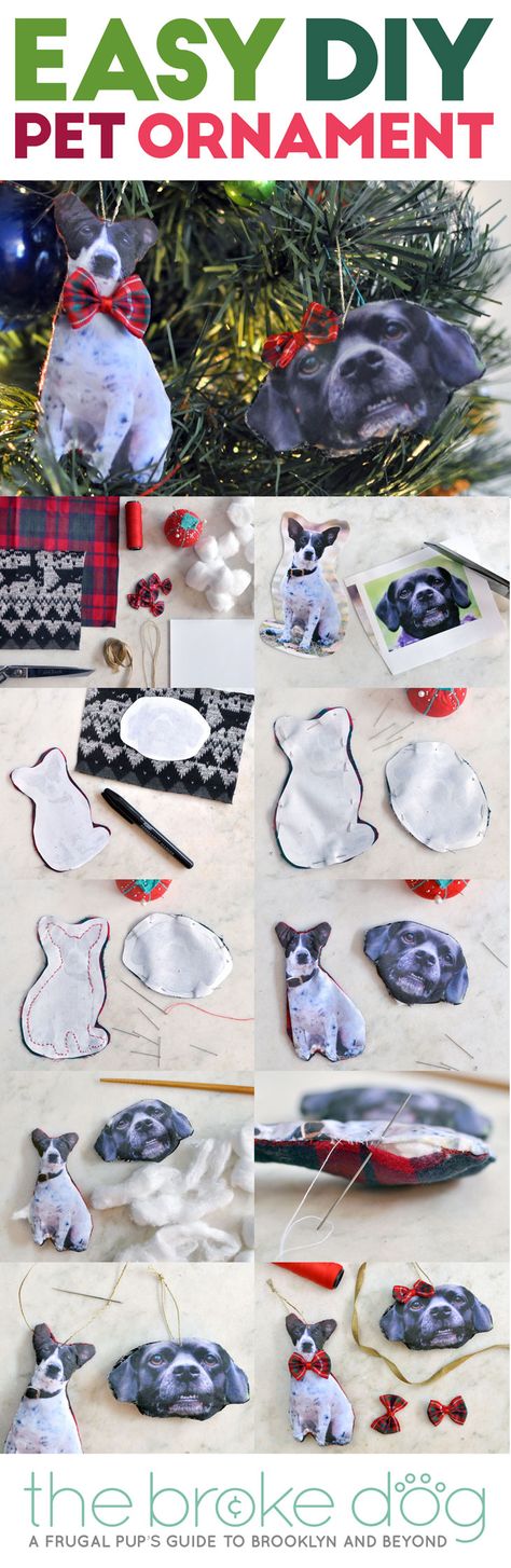 Diy Dog Christmas, Interesting Gifts, Pet Ornaments, Dogs Diy Projects, Dog Diy, Diy Ornament, Diy Dog Bed, Christmas Dogs, Dog Christmas Ornaments