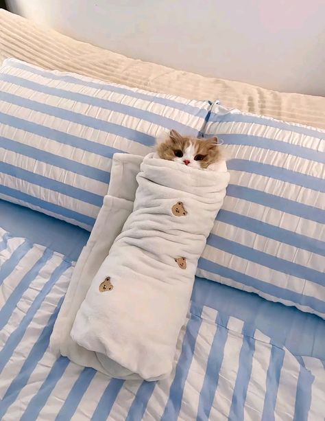 burrito cat wrapped laying Cat In Pajamas, Cat Wrapped In Blanket, Purrito Cat, Cat Burrito, Cat In Bed, Cutest Cats Ever, Adorable Cats, Super Cute Animals, Blue Blanket