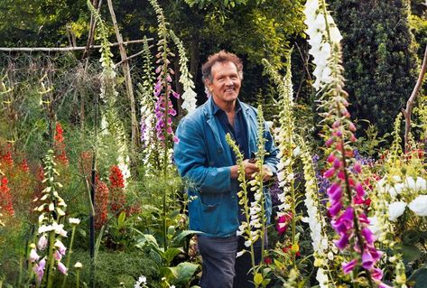 Flowers In Baby Oil, Hornbeam Hedge, Digging Deeper, Monty Don, The Key To Happiness, Herbaceous Border, British Garden, Fall Floral Arrangements, Garden Quotes