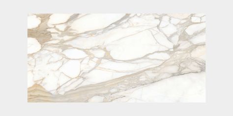 Galaxy Calacatta Oro Porcelain Slab | Nasco Stone + Tile Borghini Marble, Calacatta Borghini, Marble Trend, Calacatta Gold, Platinum Grey, Minimalistic Style, Stone Surface, Engineered Stone, Grey Stone