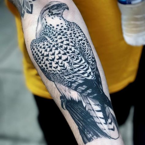 Tattoo uploaded by Tattoodo | Peregrine falcon by Ricky Williams #RickyWilliams #blackandgrey #realism #realistic #hyperrealism #bird #falcon #peregrinefalcon #nature #animal #feathers #wings #tattoooftheday | 432131 | Tattoodo Perched Bird Tattoo, Peregrin Falcon Tattoo, Tattoo Sleeve Animals, Peregrine Falcon Tattoo, Bird Of Prey Tattoo, Falcon Tattoo, Ricky Williams, Mangas Tattoo, Hawk Tattoo