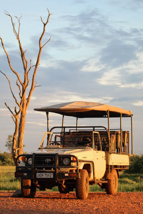 African Safari Aesthetic, Out Of Africa Style, Safari Background, Horse Safari, Safari Aesthetic, Safari Vbs, Safari Car, Zambia Safari, Safari Bus