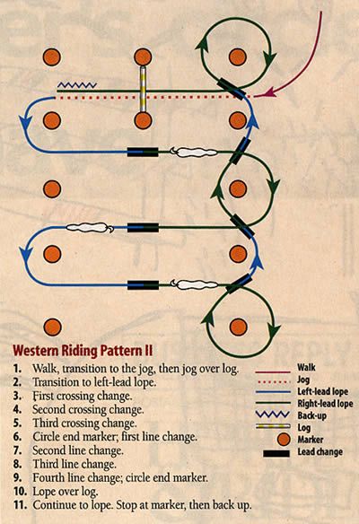 Horsemanship Patterns, Riding Ideas, Horse Training Exercises, Horseback Riding Lessons, Horse Lessons, Horse Exercises, Horse Riding Tips, Horse Games, Horse Camp