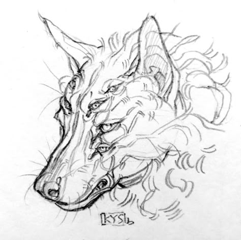 Wolf Drawing Creepy, Wolf Front View Reference, Wolf Open Mouth Drawing, Fox Teeth Reference, Wolf Head Reference, Angry Wolf Drawing, Wolf Reference Photo, Wolf Art Reference, Wolf Reference Sheet