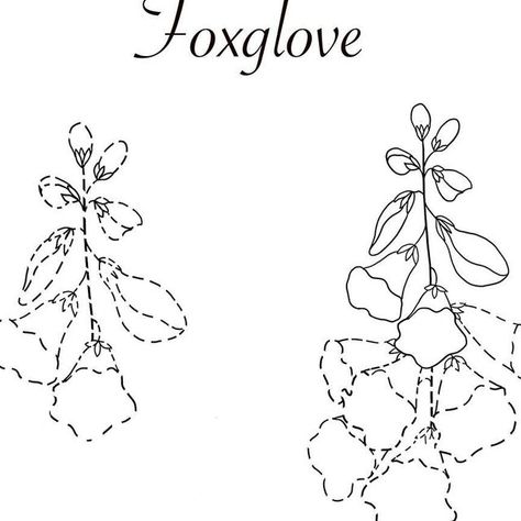 Sveta 🇺🇦 nature inspired artist on Instagram: "Foxglove, delphinium, lavender and other wildflowers ! Comment Wildflowed and I’ll send you the link to easiest and fun tutorials to draw those beautiful flowers 🌷#howtodrawflowers" Foxglove Drawing Simple, Foxglove Drawing, Acotar Annotations, Realistic Flower Drawing, Artsy Ideas, Flower Sketches, Pencil Sketches, August 11, Sketches Easy