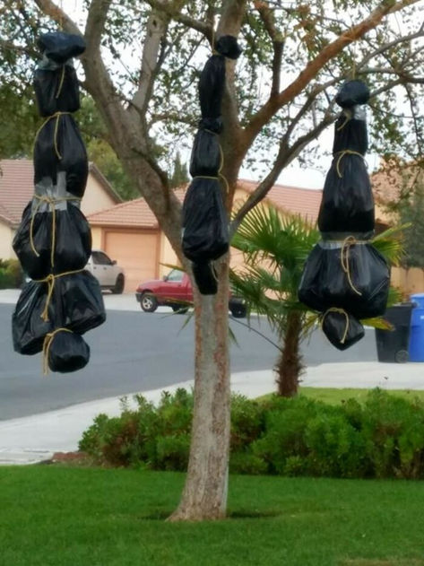 Hanging Body Bags Halloween, Diy Halloween Hanging Corpse, Fake Bodies Halloween, Hanging Body Halloween, Outside Scary Halloween Decorations, Halloween Decorations Outside House, Diy Halloween Body Bags, Halloween Decor Hanging From Tree, Halloween Body Bag Diy